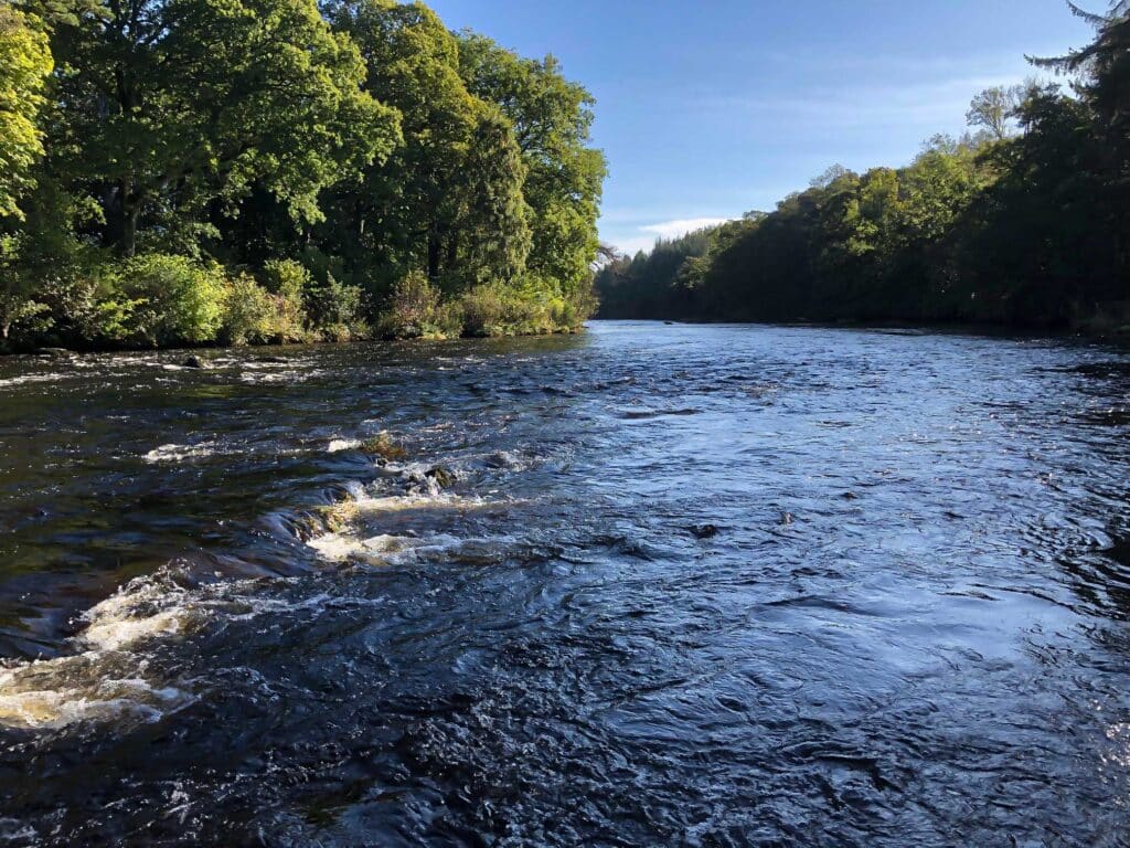 Fishing on Rivers, Tay, Earn, and Orchy