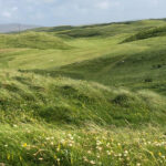 South uist fields 150x150