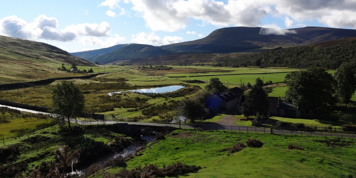 Suisgill Estate Glen