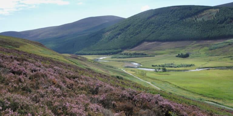 Suisgill Estate river view 768x384
