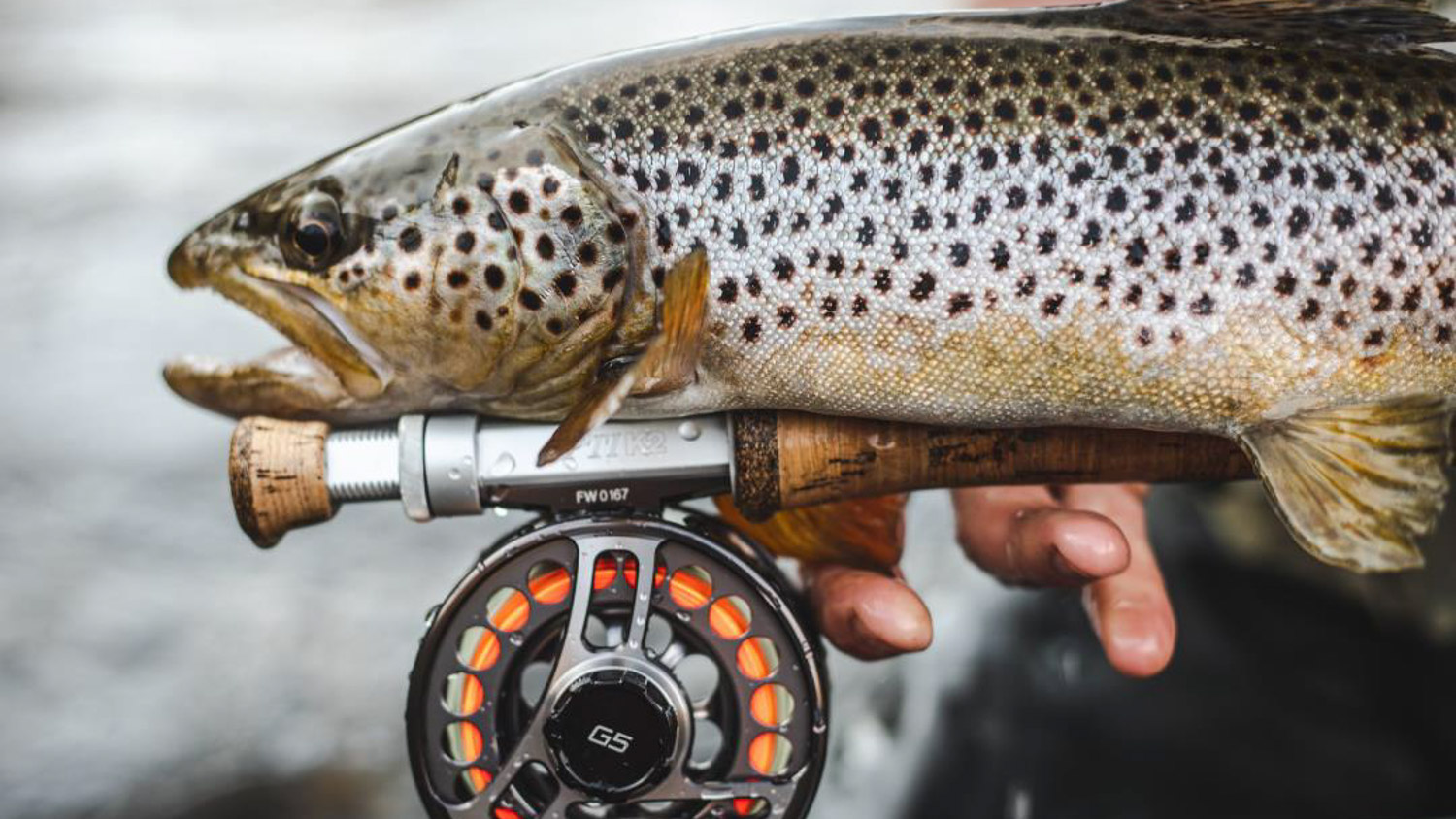 bf4ab9fb e8a1 4377 8573 4628fdd00e39