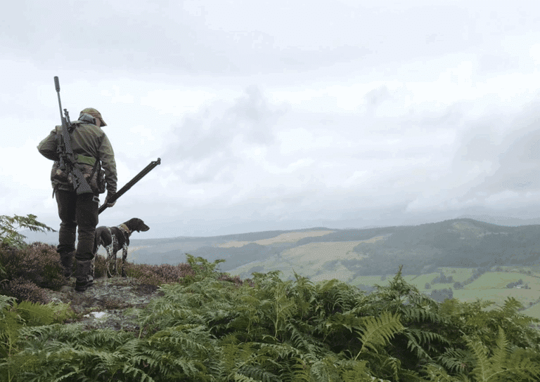 experienced hunter 960x680 1 768x544