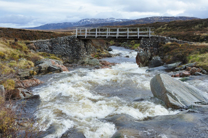 images 2ZLrRohB4dcHrPYrG CR19752