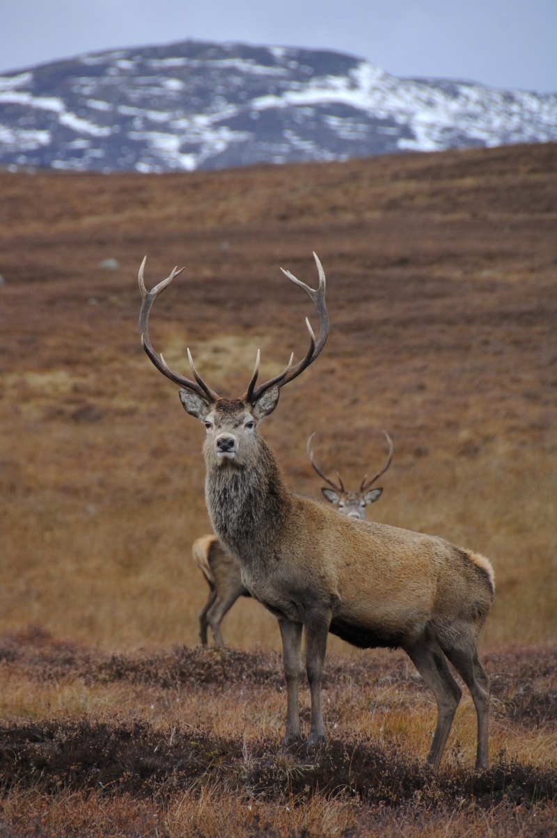 images vAhn3izYYRuYKWGJN CR19817