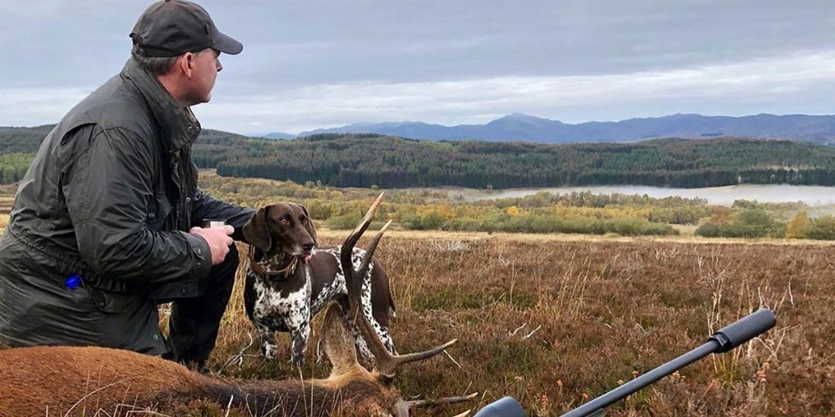 south ayrshire stalking stag dog and rifle
