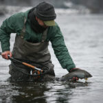 winter grayling scotland 150x150