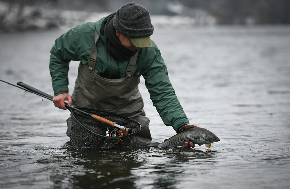 winter grayling scotland