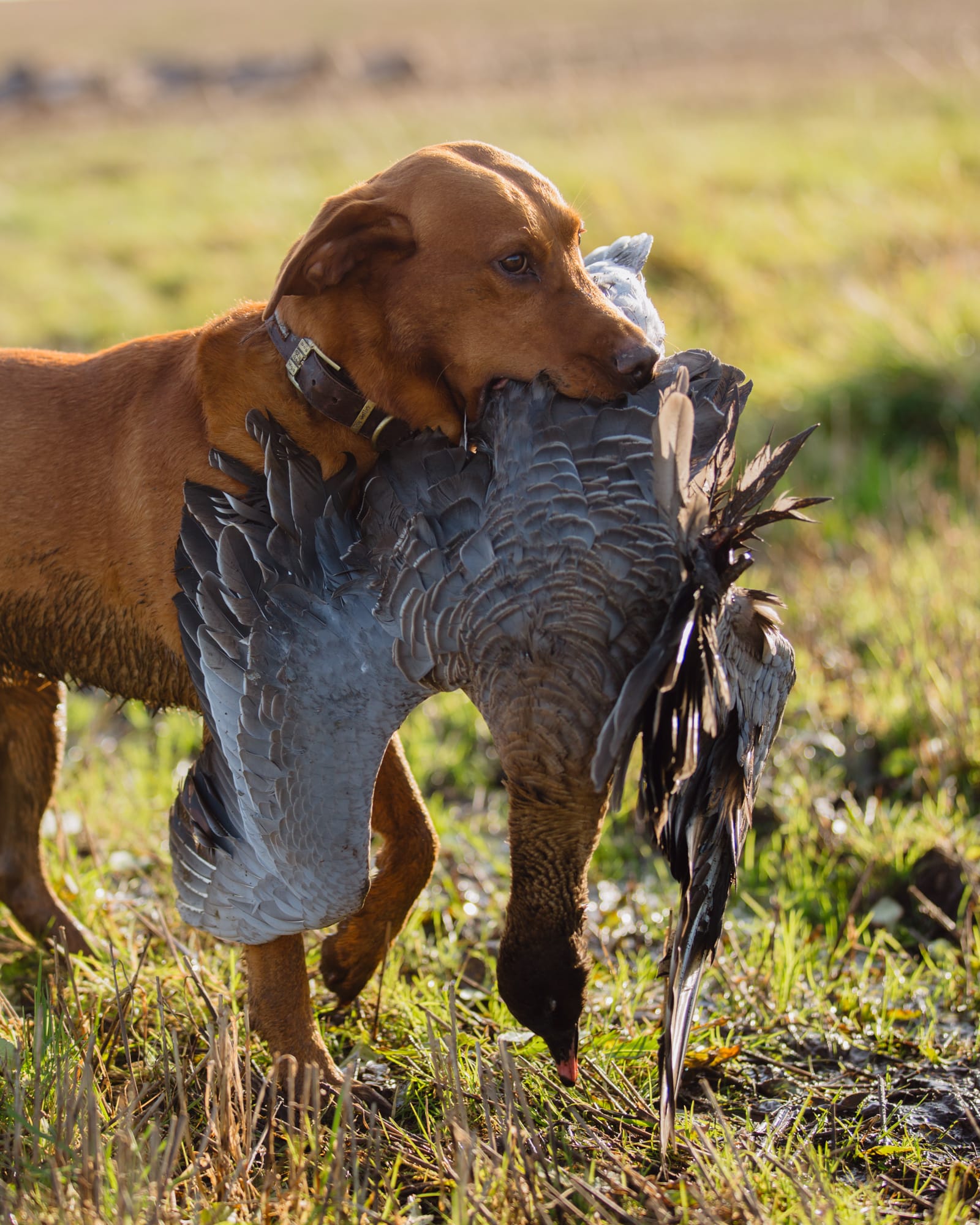 465468932 1076992204433603 247214142162631731 n