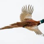 bob brewer JuoE5jHlcHs unsplash 150x150