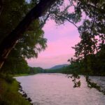 f308f7d9 2d62 43d1 93be ea5fb72d38cc 150x150