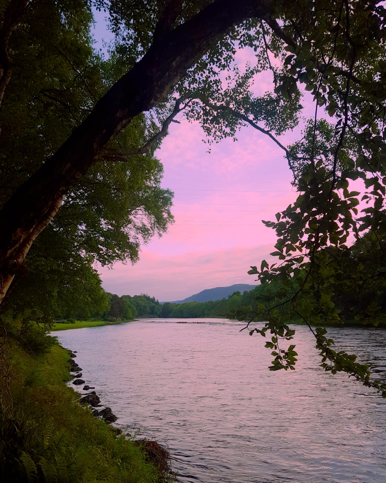 f308f7d9 2d62 43d1 93be ea5fb72d38cc