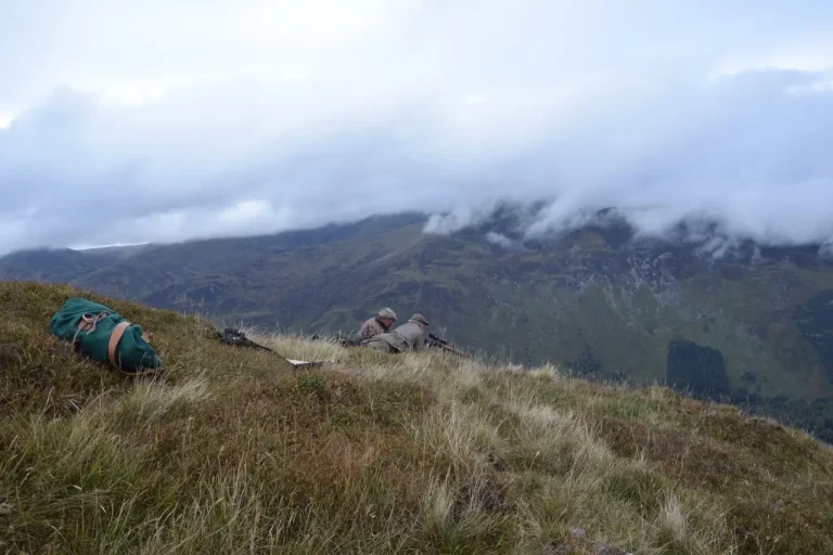 taking a shot oct 2015 768x512