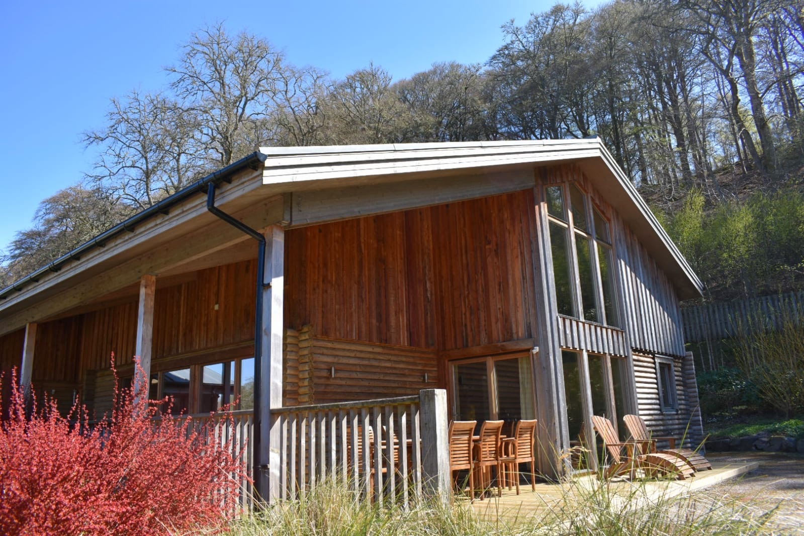 PHOTO 2020 04 23 14 01 58 2020 04 29 08 20 25