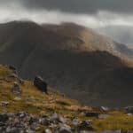 2025 Benmore Estate CSS Kirk Norbury 015 LOWRES 150x150