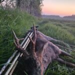 IMG 20250512 WA0004 150x150