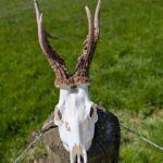 PXL 20250516 105515606low.MP 150x150