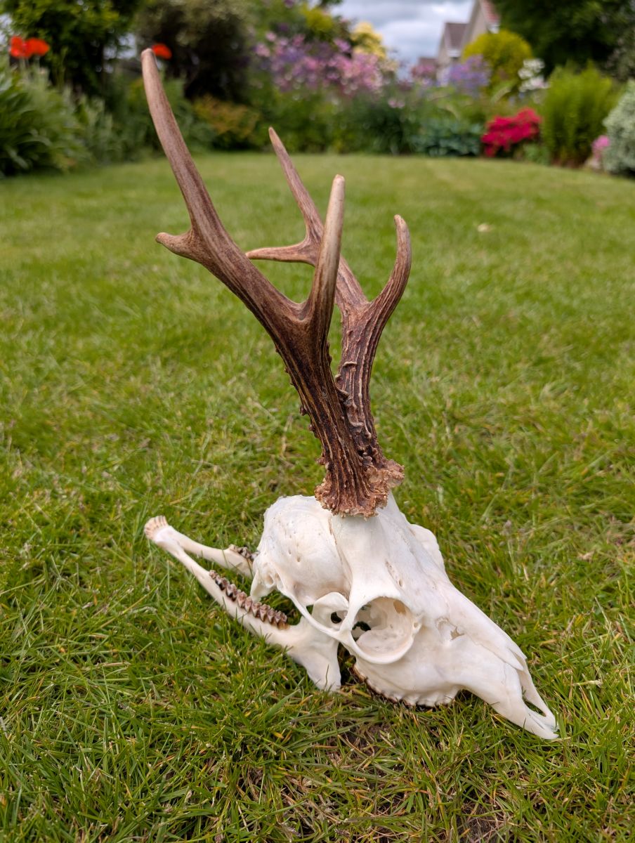 PXL 20250527 130735547low.MP