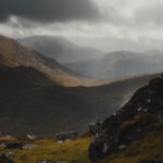 2025 Benmore Estate CSS Kirk Norbury 016 LOWRES 150x150