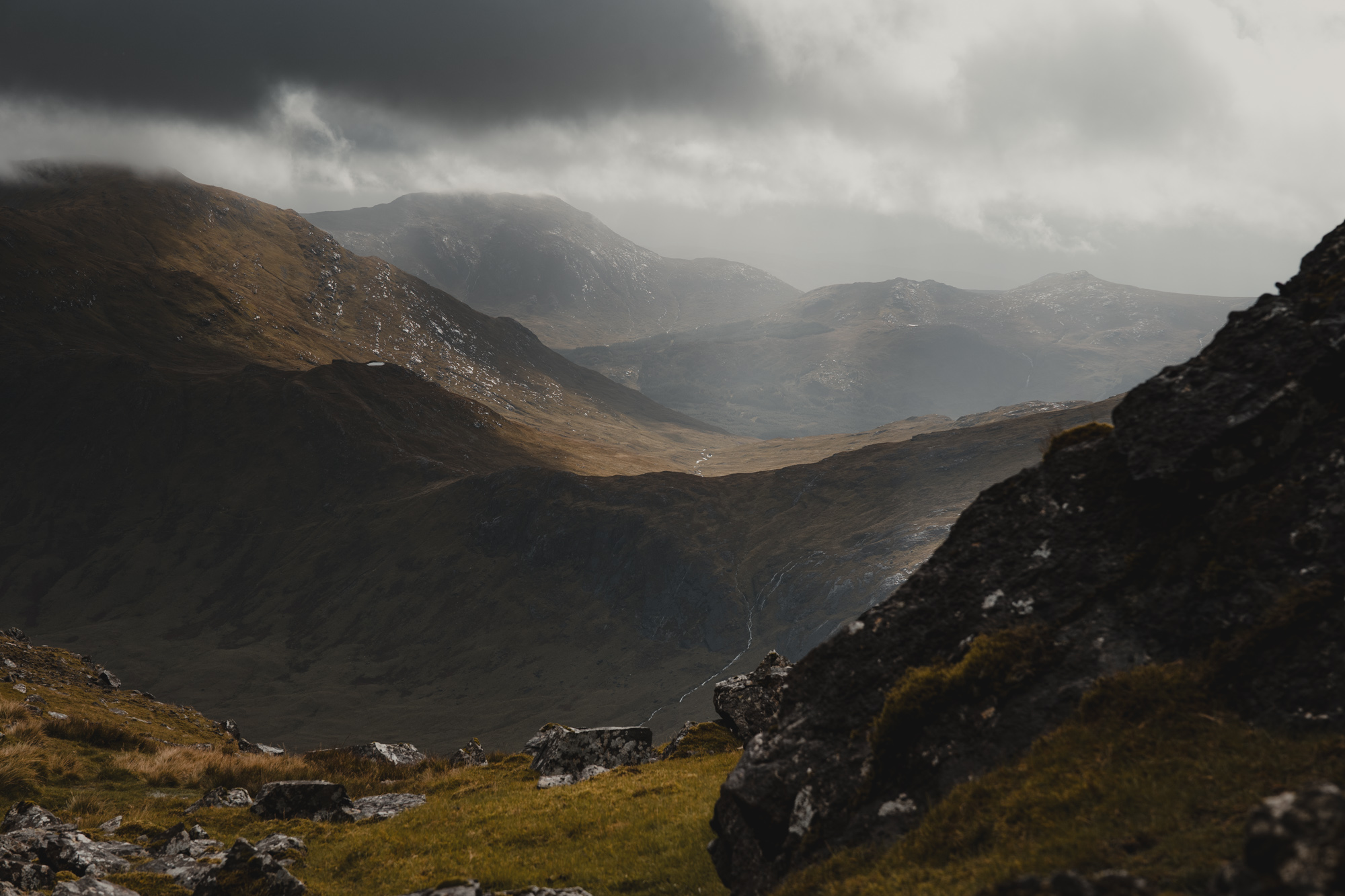 2025 Benmore Estate CSS Kirk Norbury 016 LOWRES