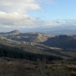 2282293C 33C9 428B A7D7 B8614D88456D 4 5005 c 150x150