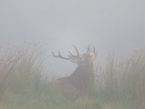 336A7FF5 1AF8 4E82 A875 691CED08AC13 4 5005 c