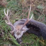 7D82BFDB 42AB 4299 B025 EDCB70D2F586 150x150