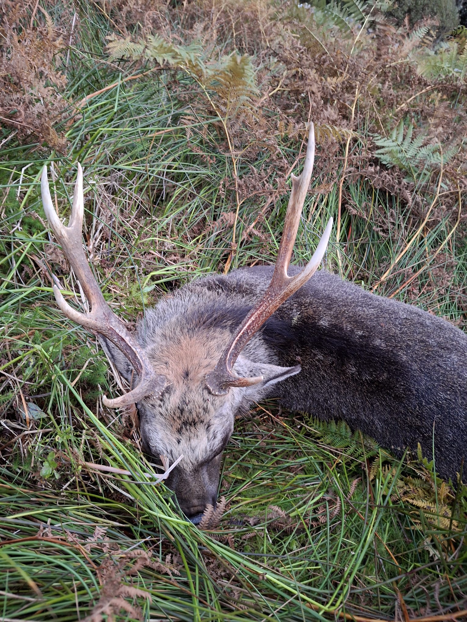 7D82BFDB 42AB 4299 B025 EDCB70D2F586