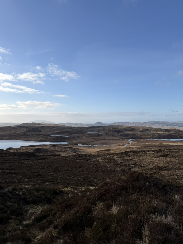 E51EA9A0 FB05 45FE 949E FA6BCC21BA3D 1 105 c