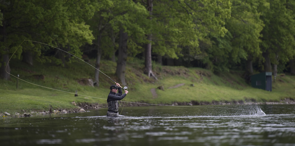salmonspeycasting